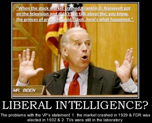 Liberal Ignorance - Joe Biden